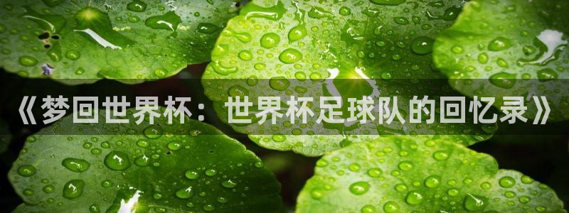 世预赛欧洲赛程表：《梦回世界杯：世界杯足球队的回忆录》