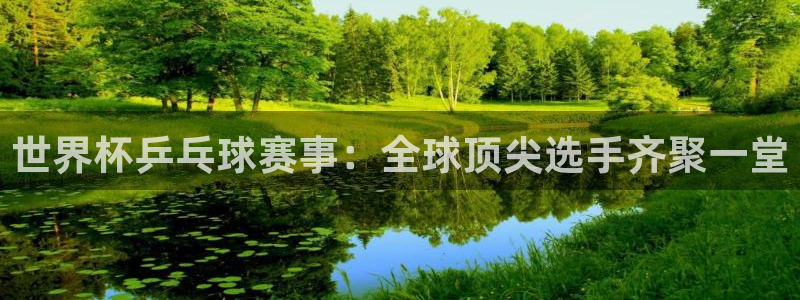 2026世预赛全部赛程：世界杯乒乓球赛事：全球顶尖选手齐聚一堂