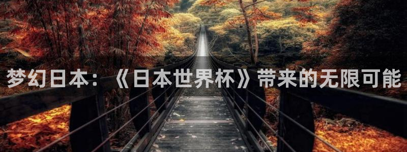 世界杯预选赛规则：梦幻日本：《日本世界杯》带来的无限可能