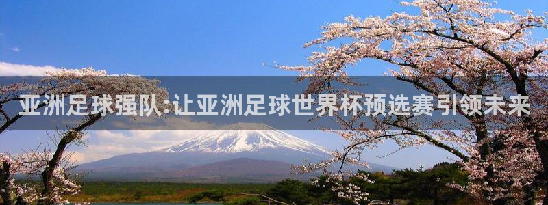世界杯赛程表：亚洲足球强队:让亚洲足球世界杯预选赛引领未来