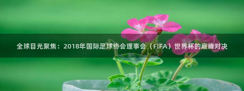 世界杯球队：全球目光聚焦：2018年国际足球协会理事会（FIFA）世界杯的巅峰对决