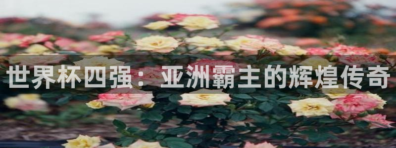 世界杯直播免费观看：世界杯四强：亚洲霸主的辉煌传奇