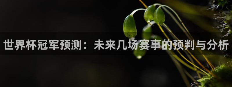 世界杯官网入口：世界杯冠军预测：未来几场赛事的预判与分析