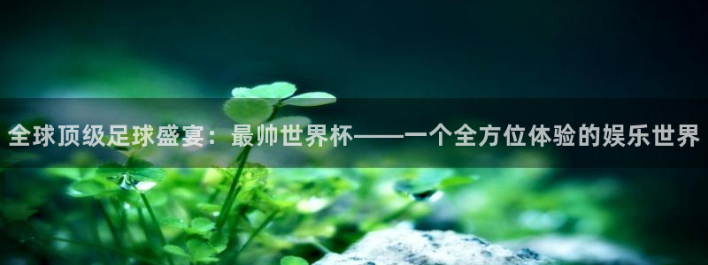 西超杯直播：全球顶级足球盛宴：最帅世界杯——一个全方位体验的娱乐世界